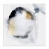 Ink Memoirs Wall Art
