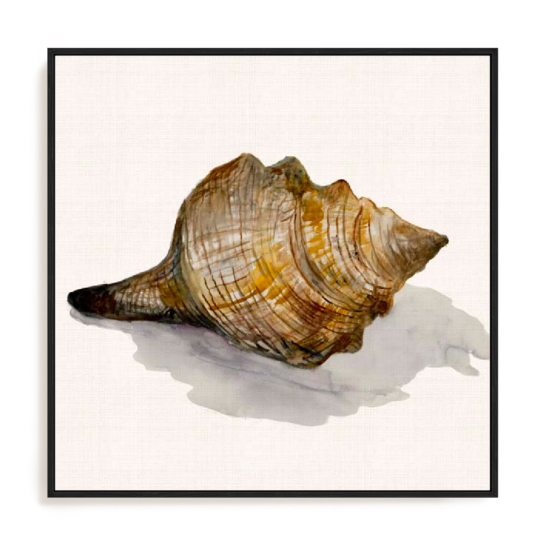 Conch Shell Wall Art