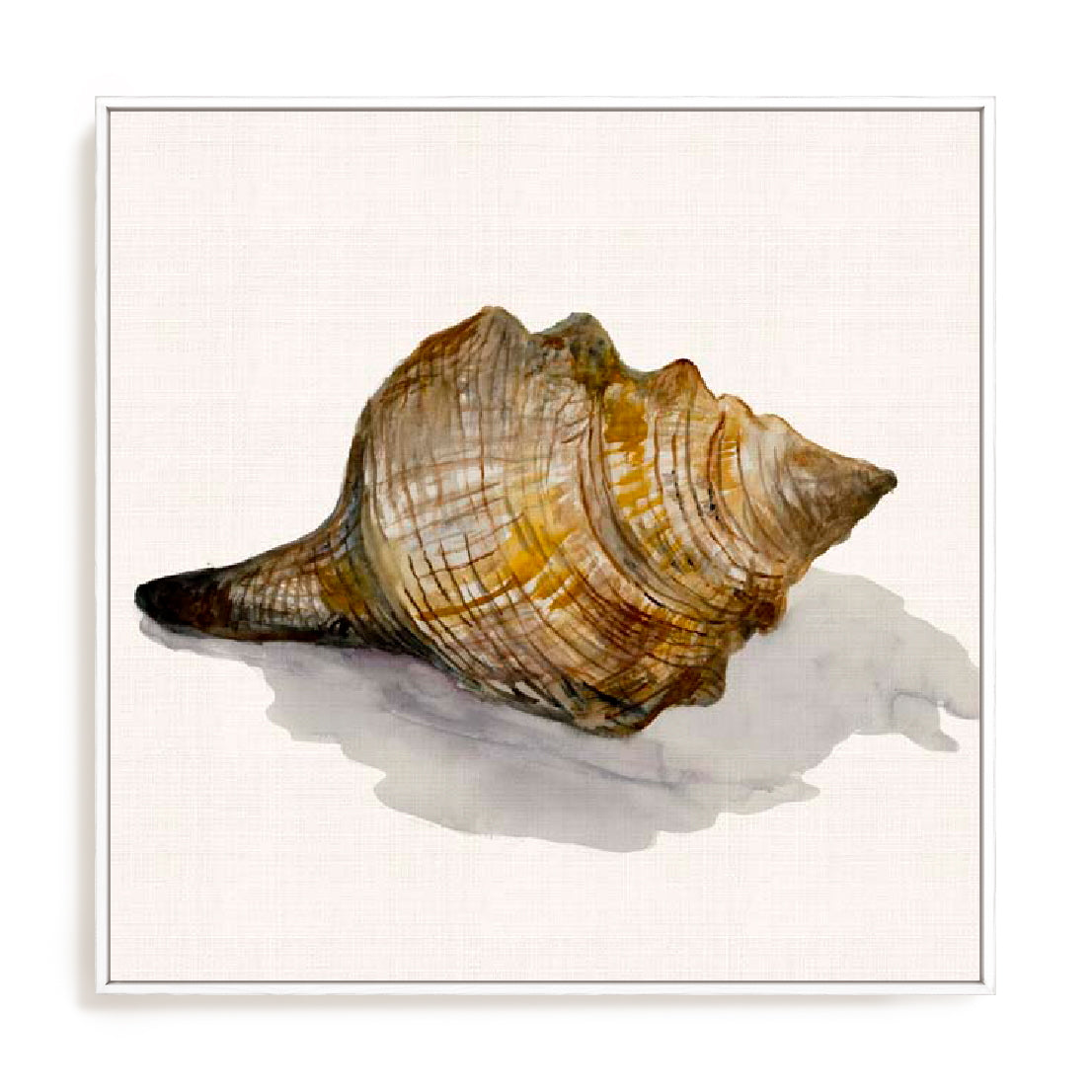 Conch Shell Wall Art