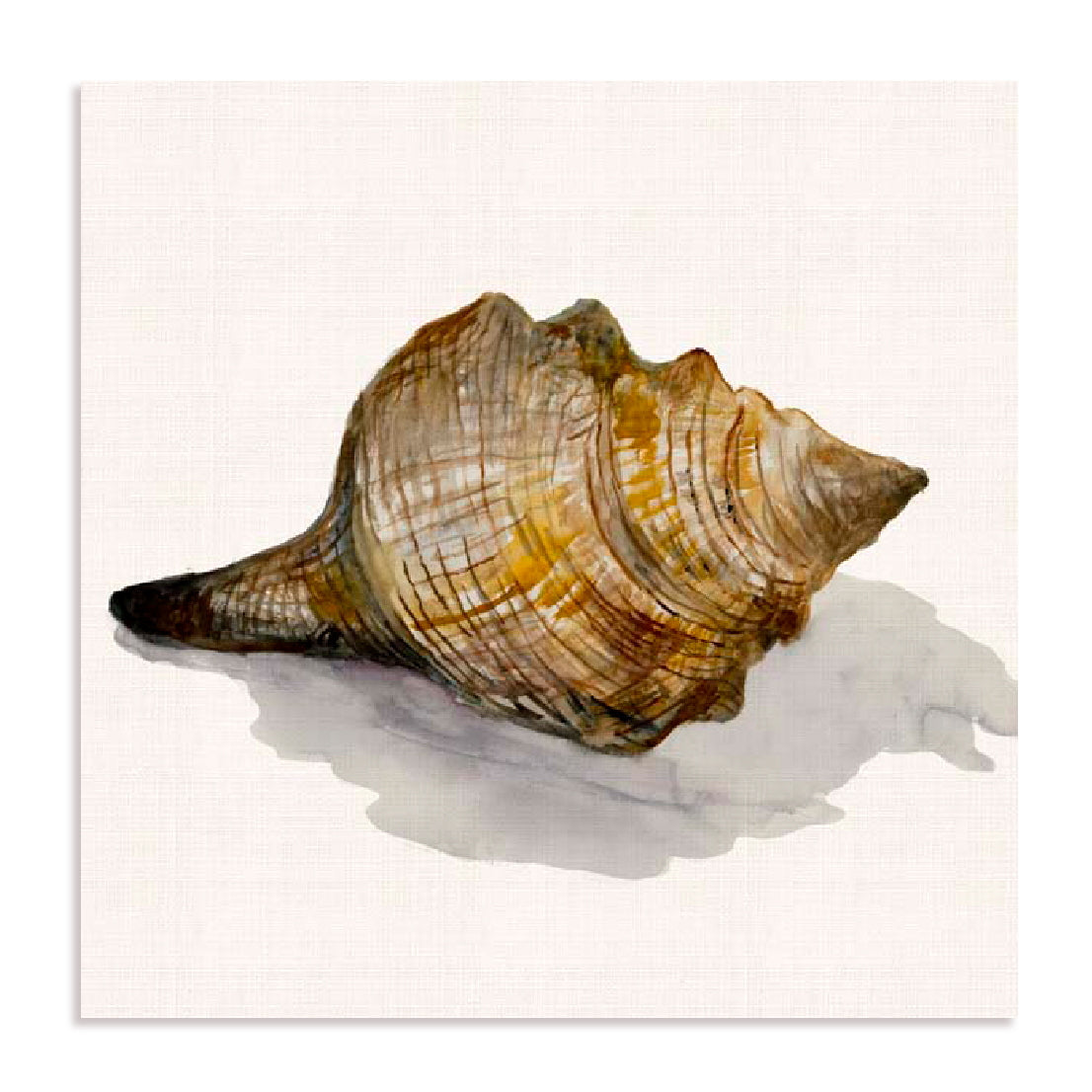 Conch Shell Wall Art