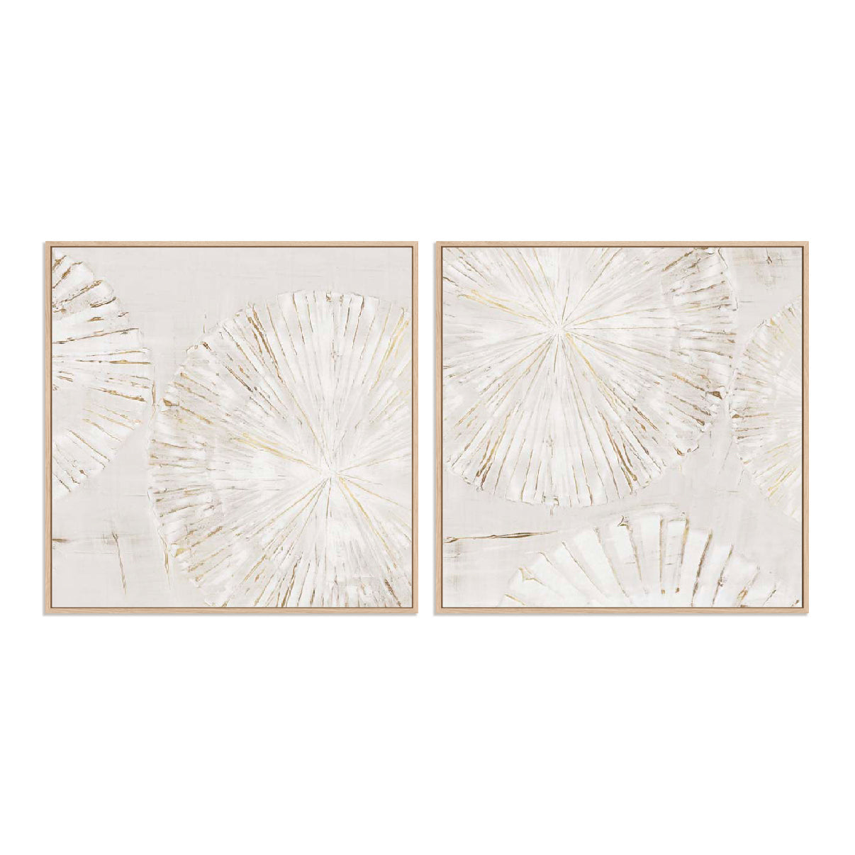Soft Shells Design I And II Wall Art