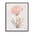 Coastal Seafan Sponge Wall Art