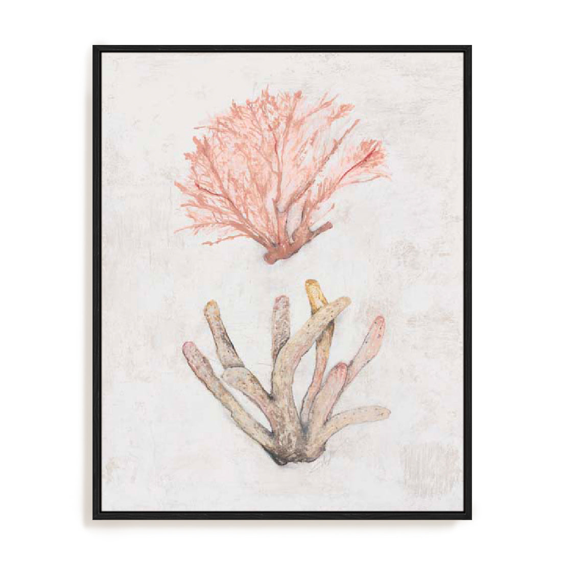 Coastal Seafan Sponge Wall Art