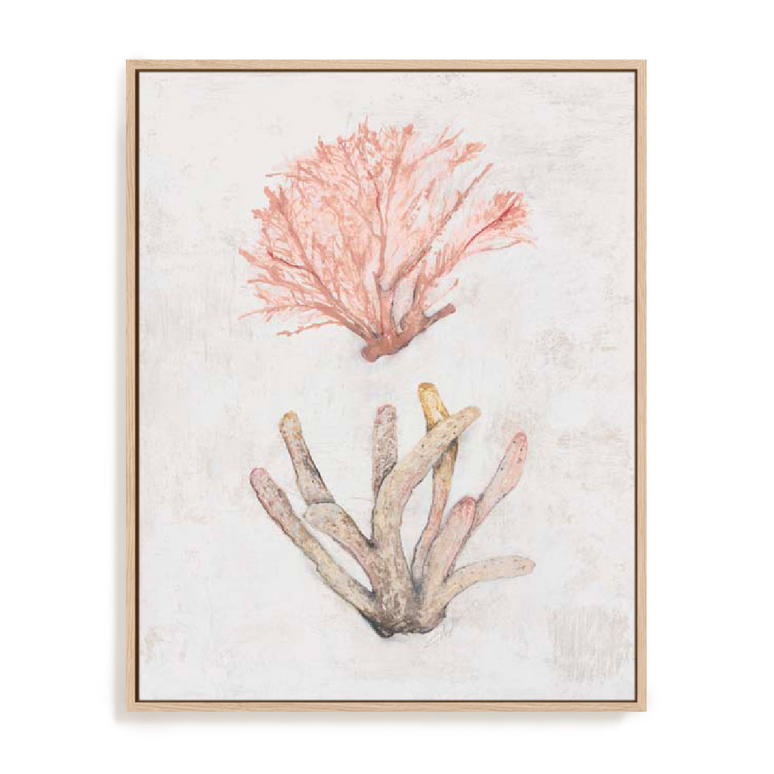 Coastal Seafan Sponge Wall Art