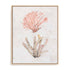 Coastal Seafan Sponge Wall Art