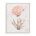 Coastal Seafan Sponge Wall Art