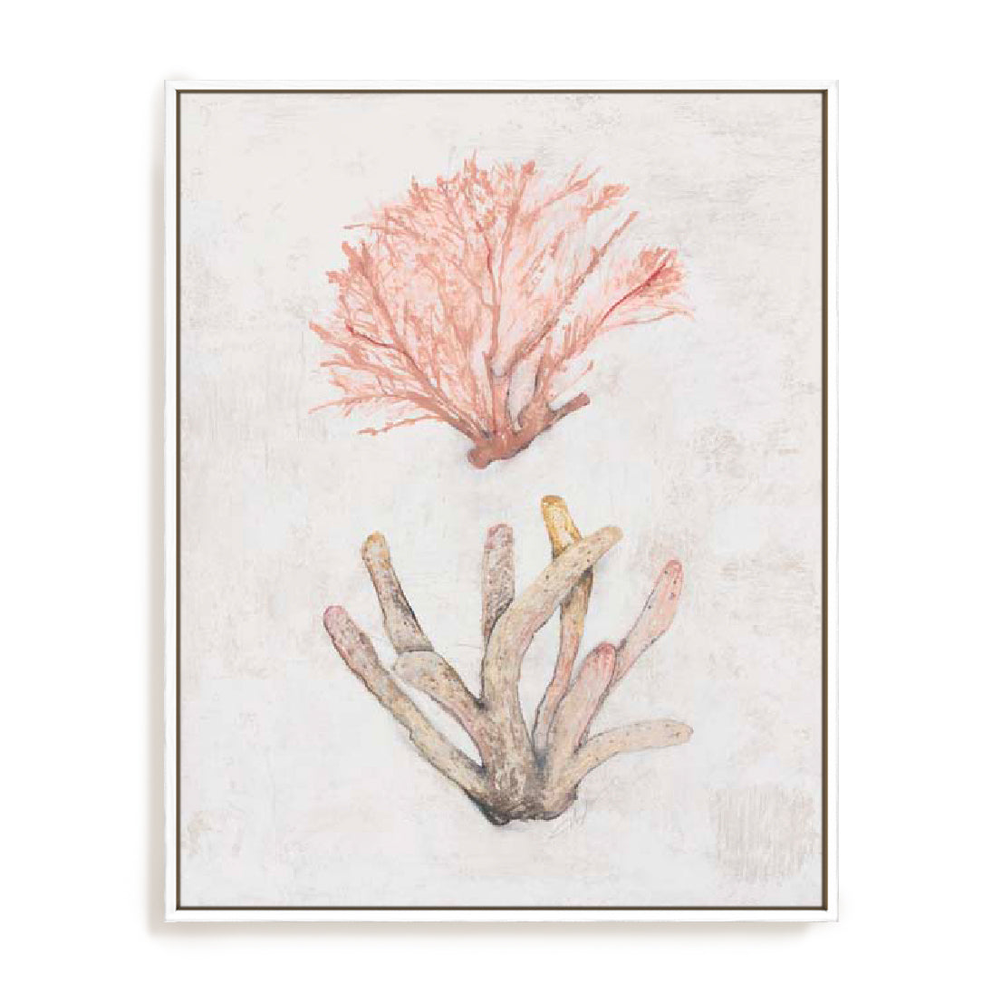Coastal Seafan Sponge Wall Art