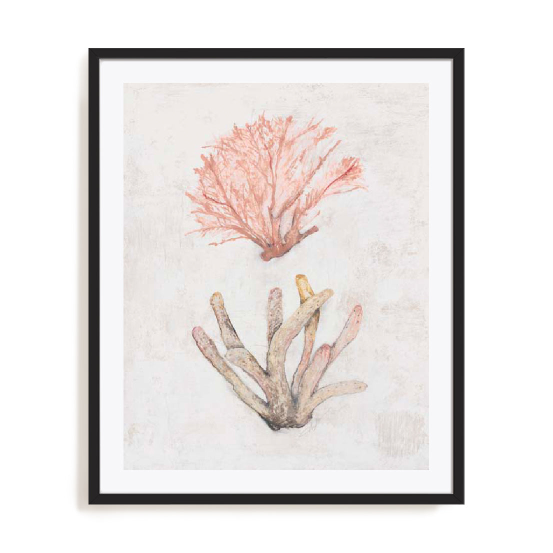 Coastal Seafan Sponge Wall Art