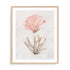 Coastal Seafan Sponge Wall Art