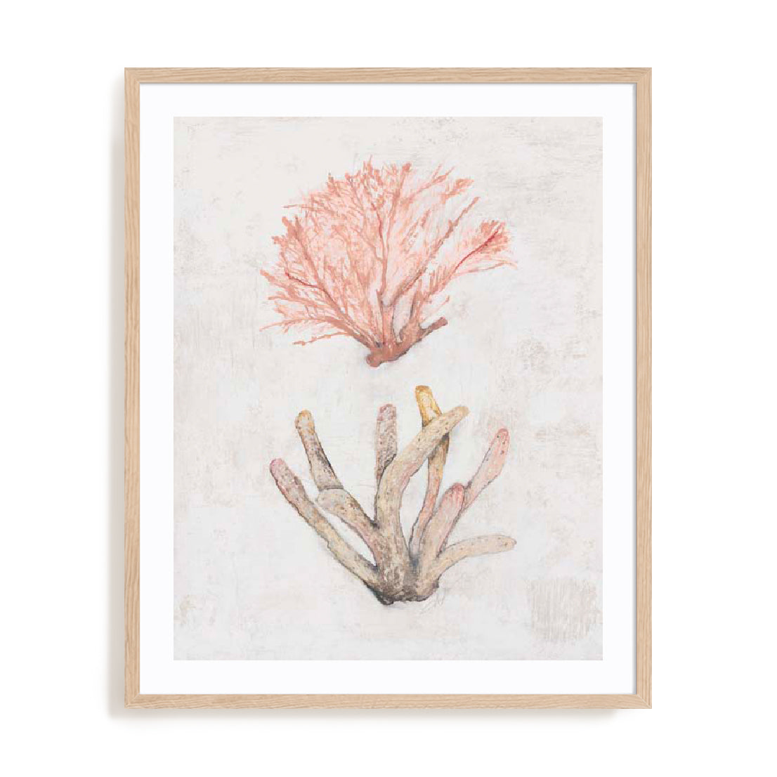 Coastal Seafan Sponge Wall Art