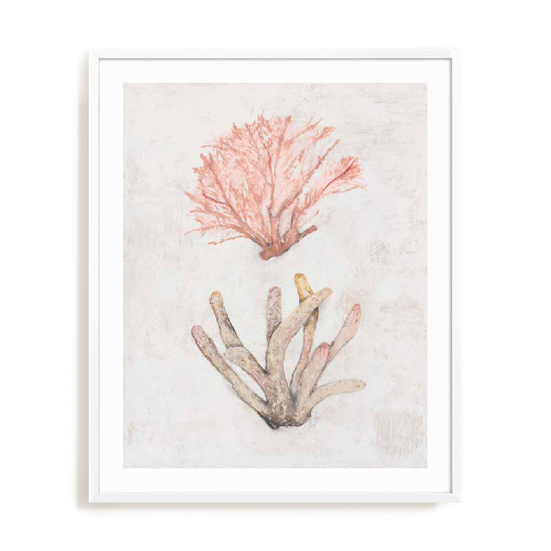 Coastal Seafan Sponge Wall Art