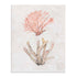 Coastal Seafan Sponge Wall Art
