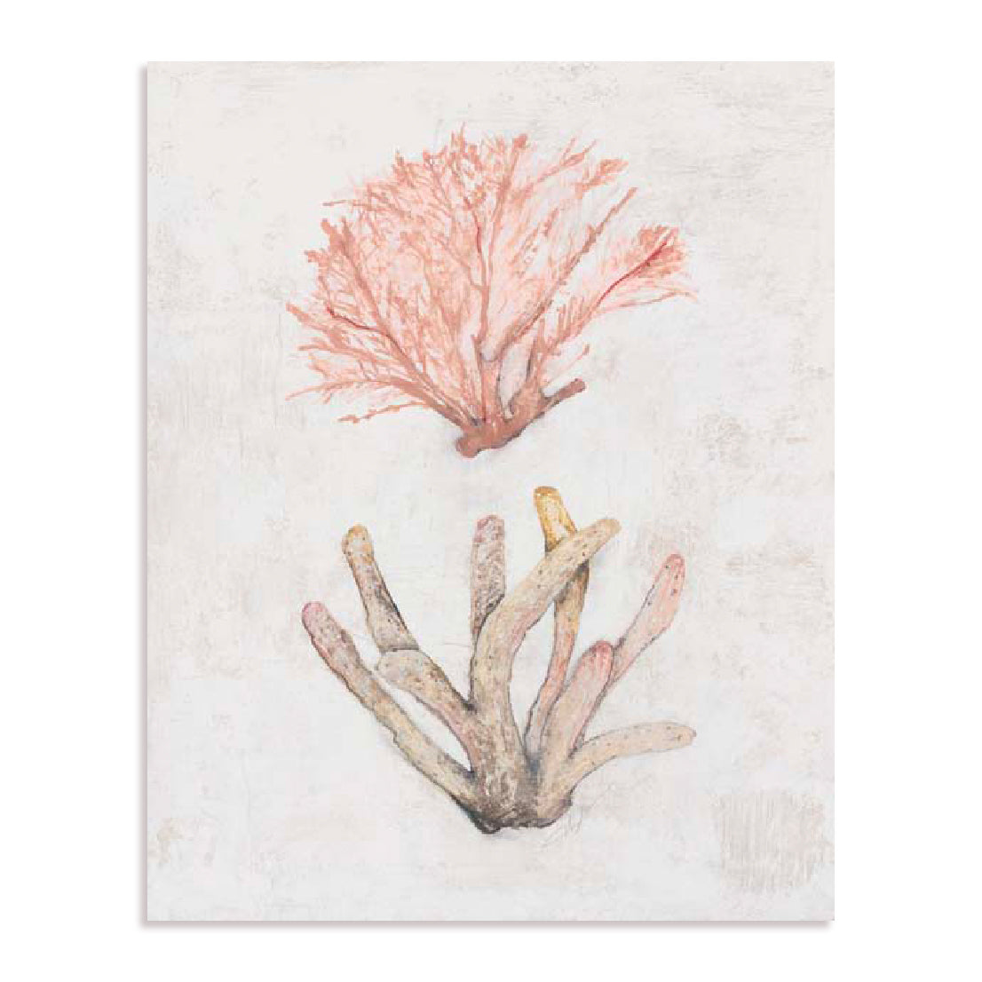 Coastal Seafan Sponge Wall Art