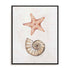 Coastal Starfish Nautilus Wall Art