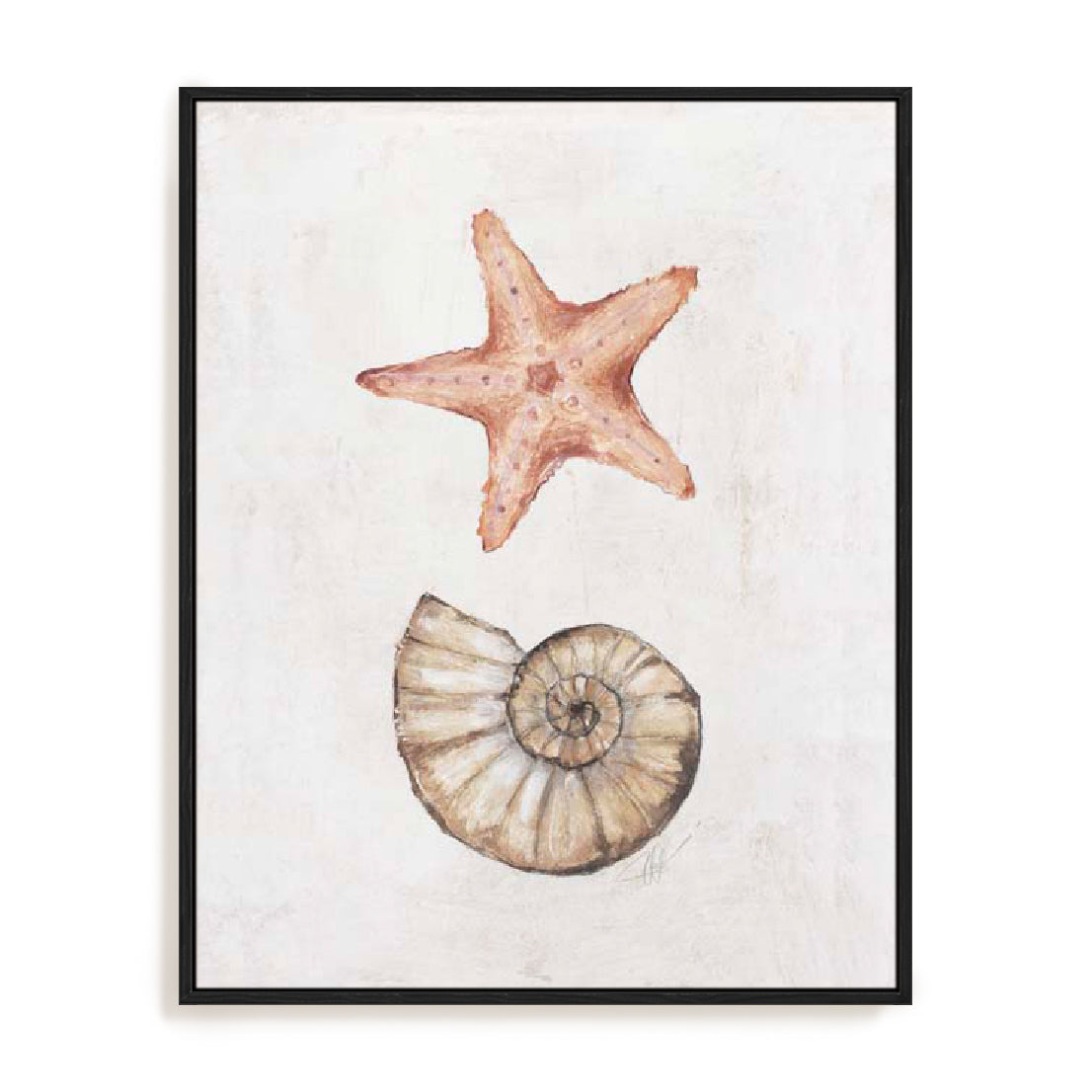 Coastal Starfish Nautilus Wall Art