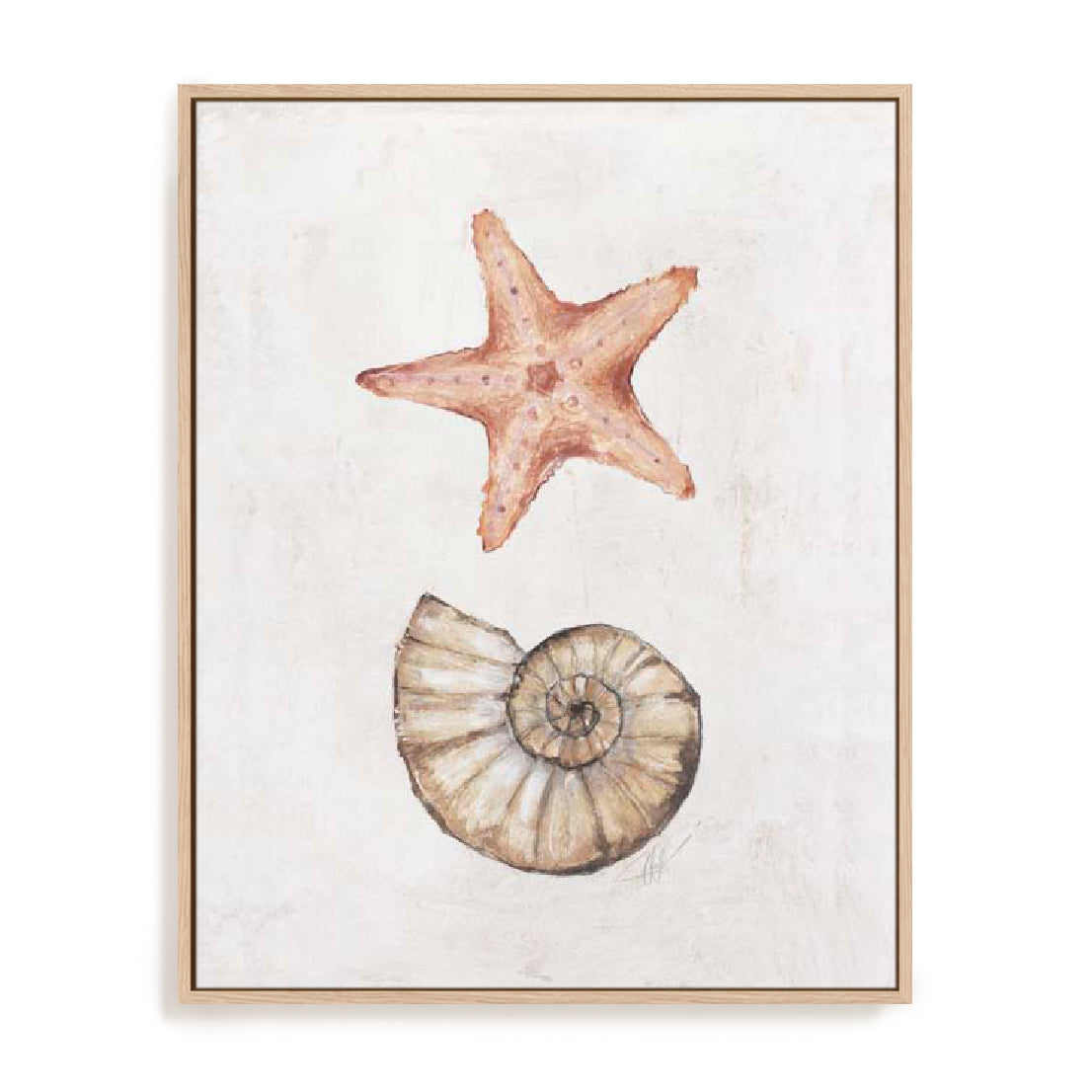 Coastal Starfish Nautilus Wall Art