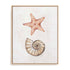 Coastal Starfish Nautilus Wall Art