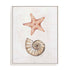 Coastal Starfish Nautilus Wall Art