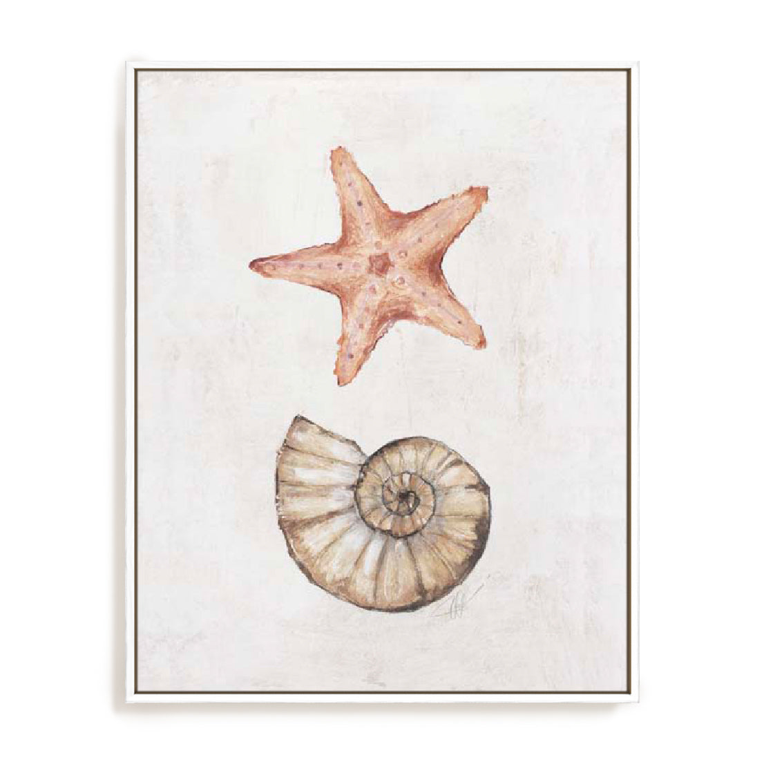 Coastal Starfish Nautilus Wall Art
