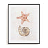 Coastal Starfish Nautilus Wall Art