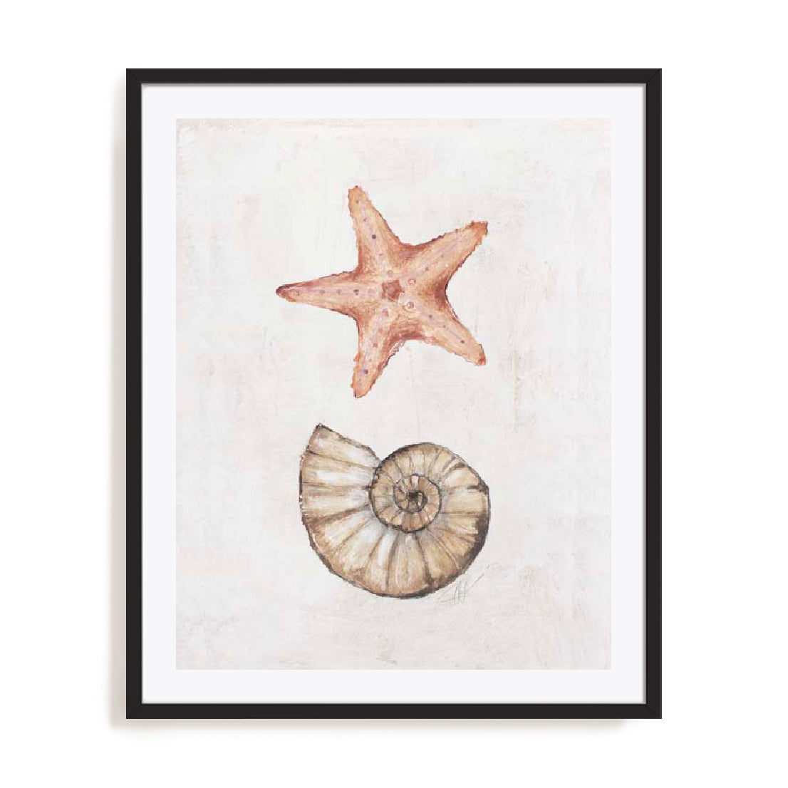 Coastal Starfish Nautilus Wall Art