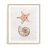 Coastal Starfish Nautilus Wall Art