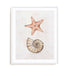 Coastal Starfish Nautilus Wall Art