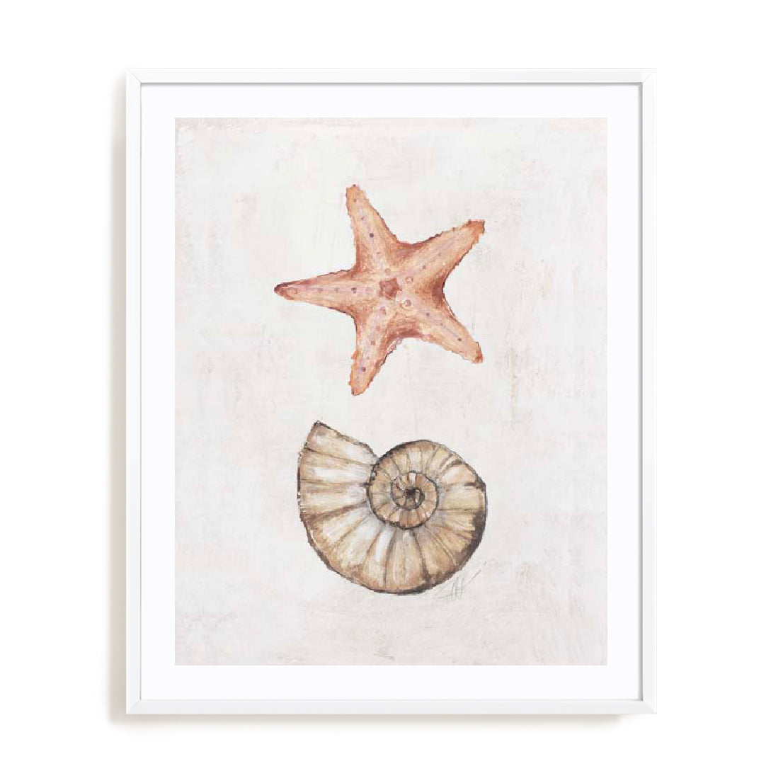 Coastal Starfish Nautilus Wall Art