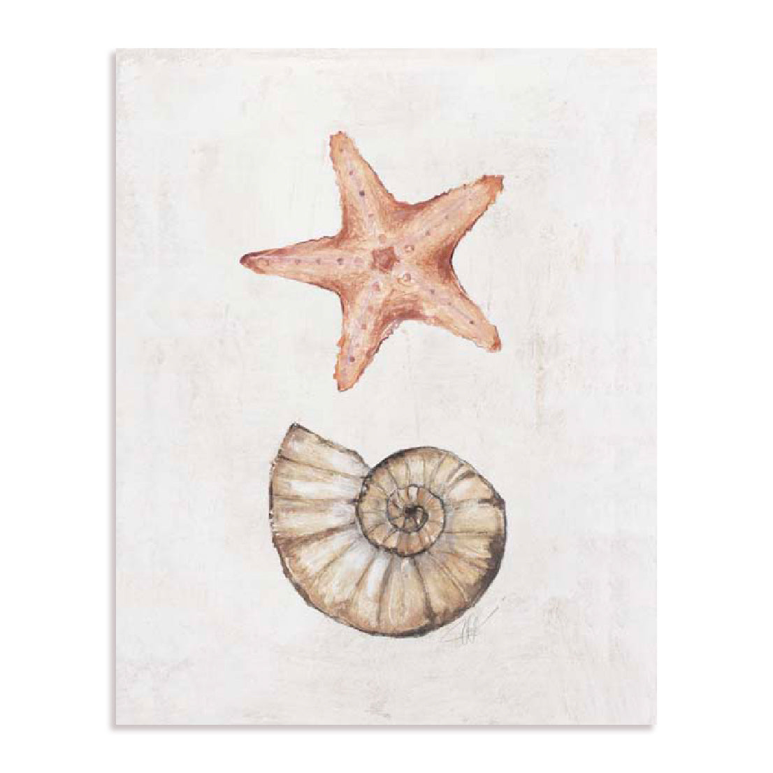 Coastal Starfish Nautilus Wall Art