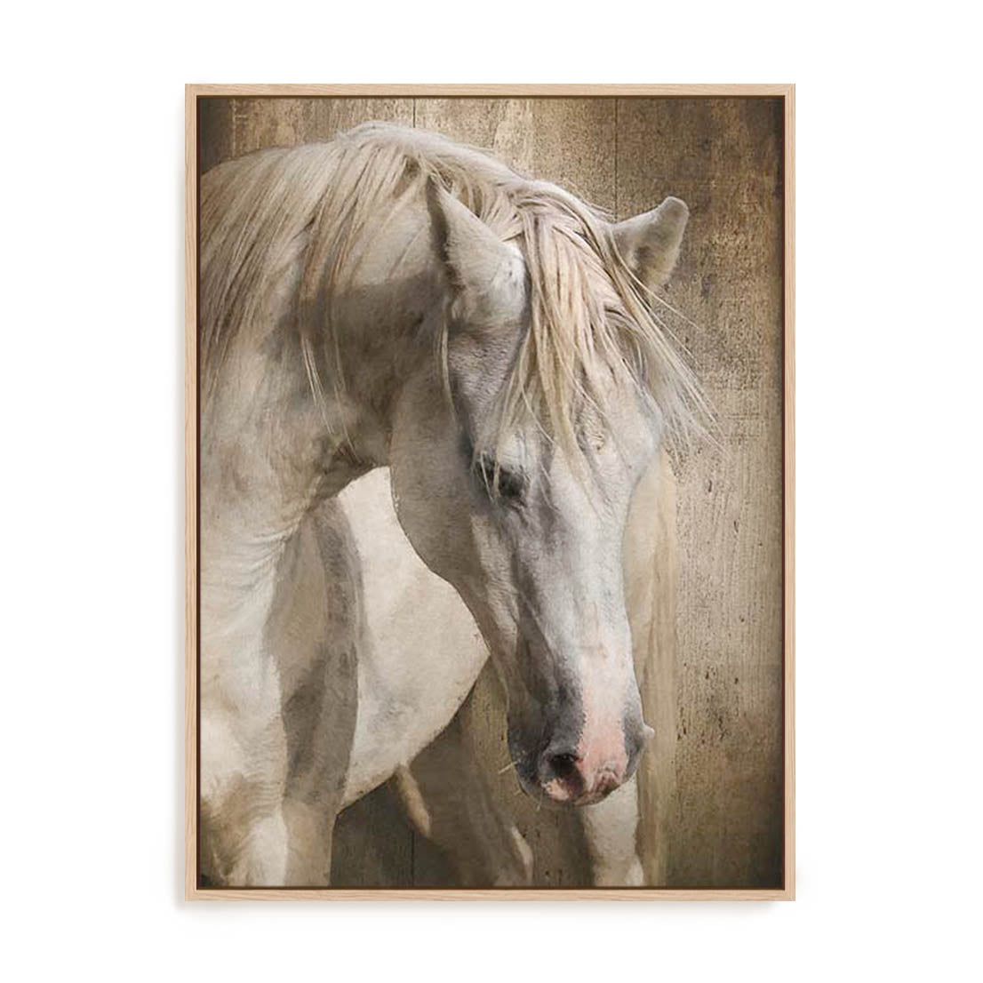 Equine Energy I Wall Art