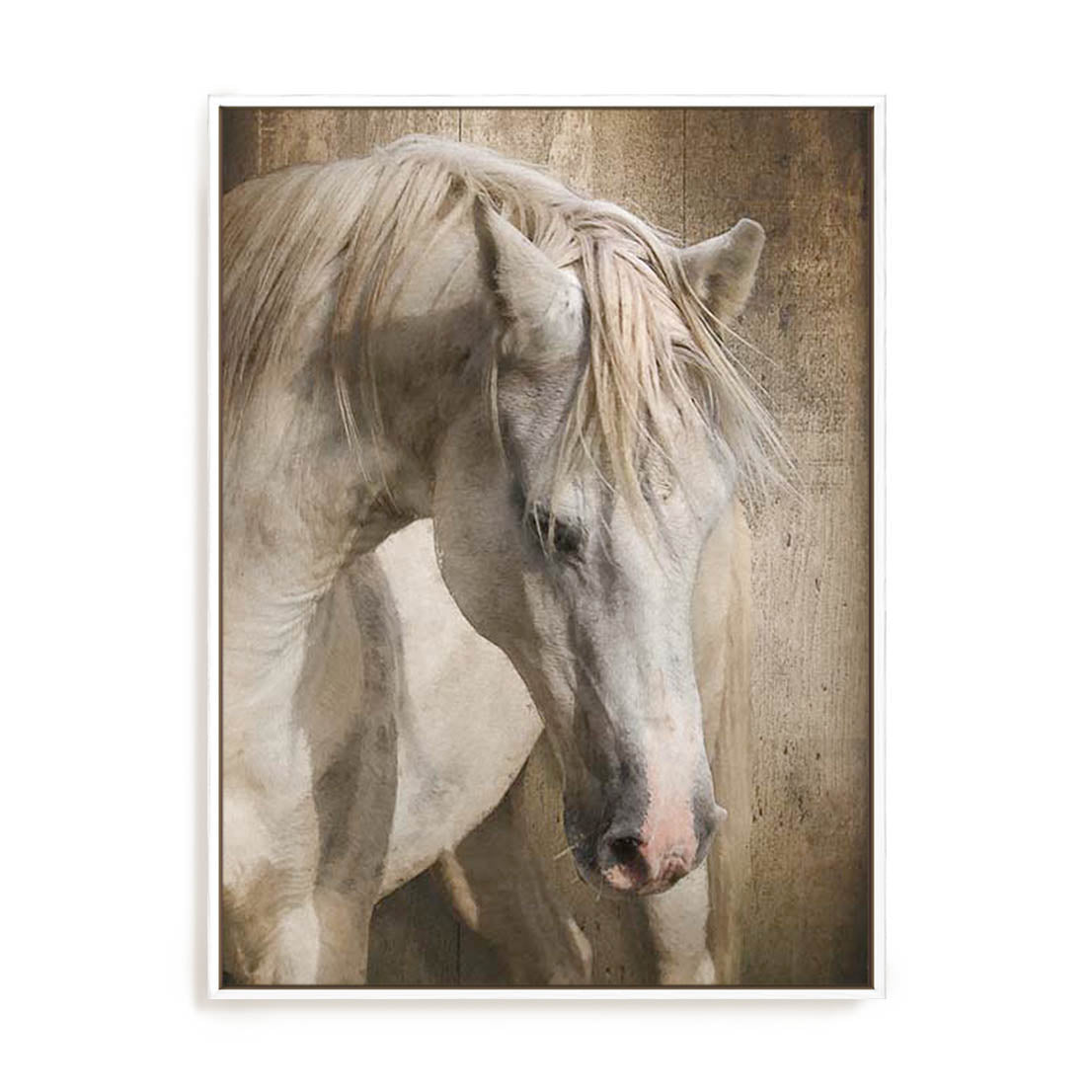 Equine Energy I Wall Art