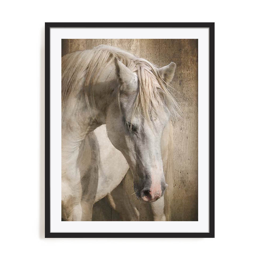 Equine Energy I Wall Art