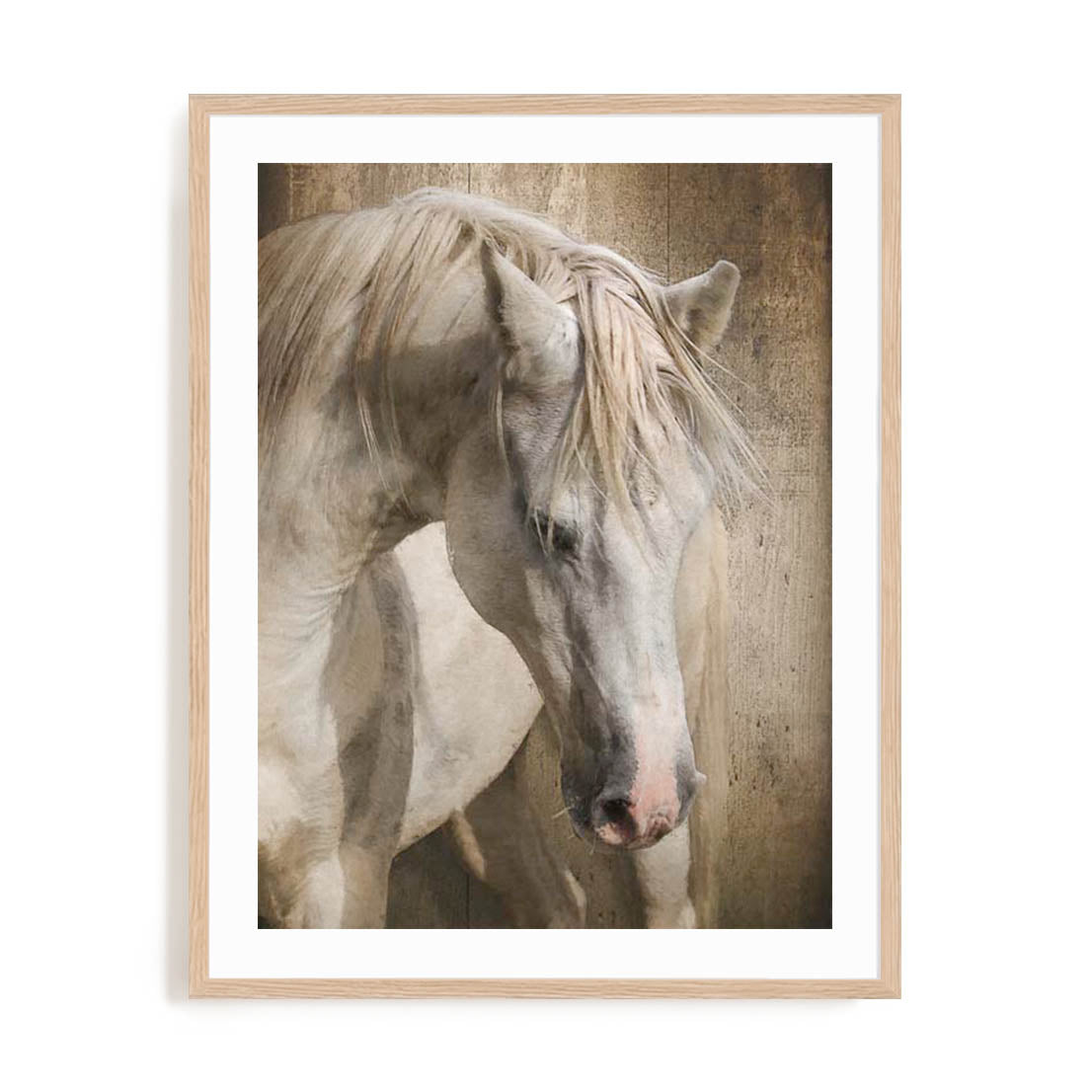 Equine Energy I Wall Art