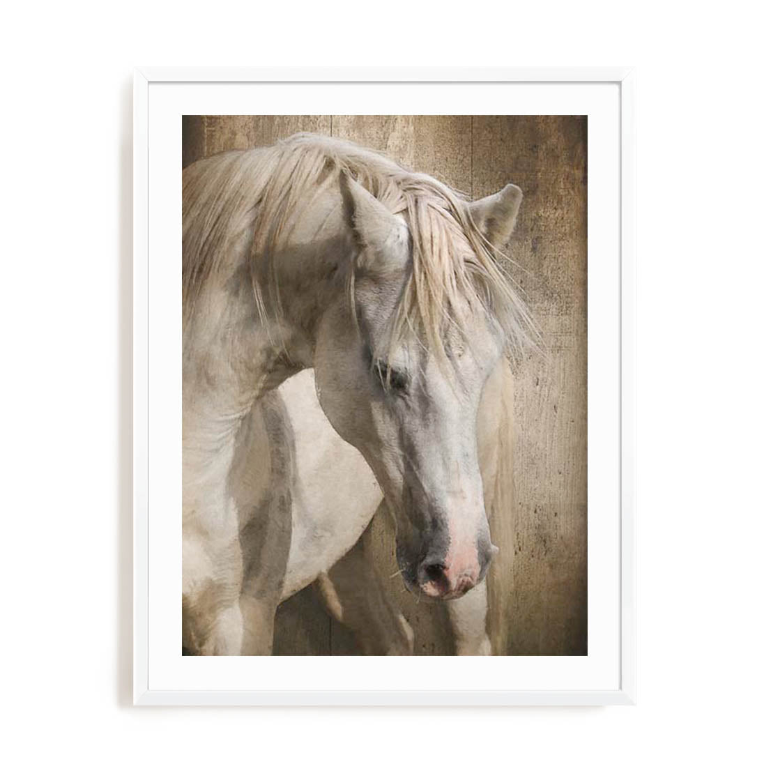 Equine Energy I Wall Art