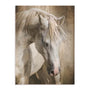 Equine Energy I Wall Art
