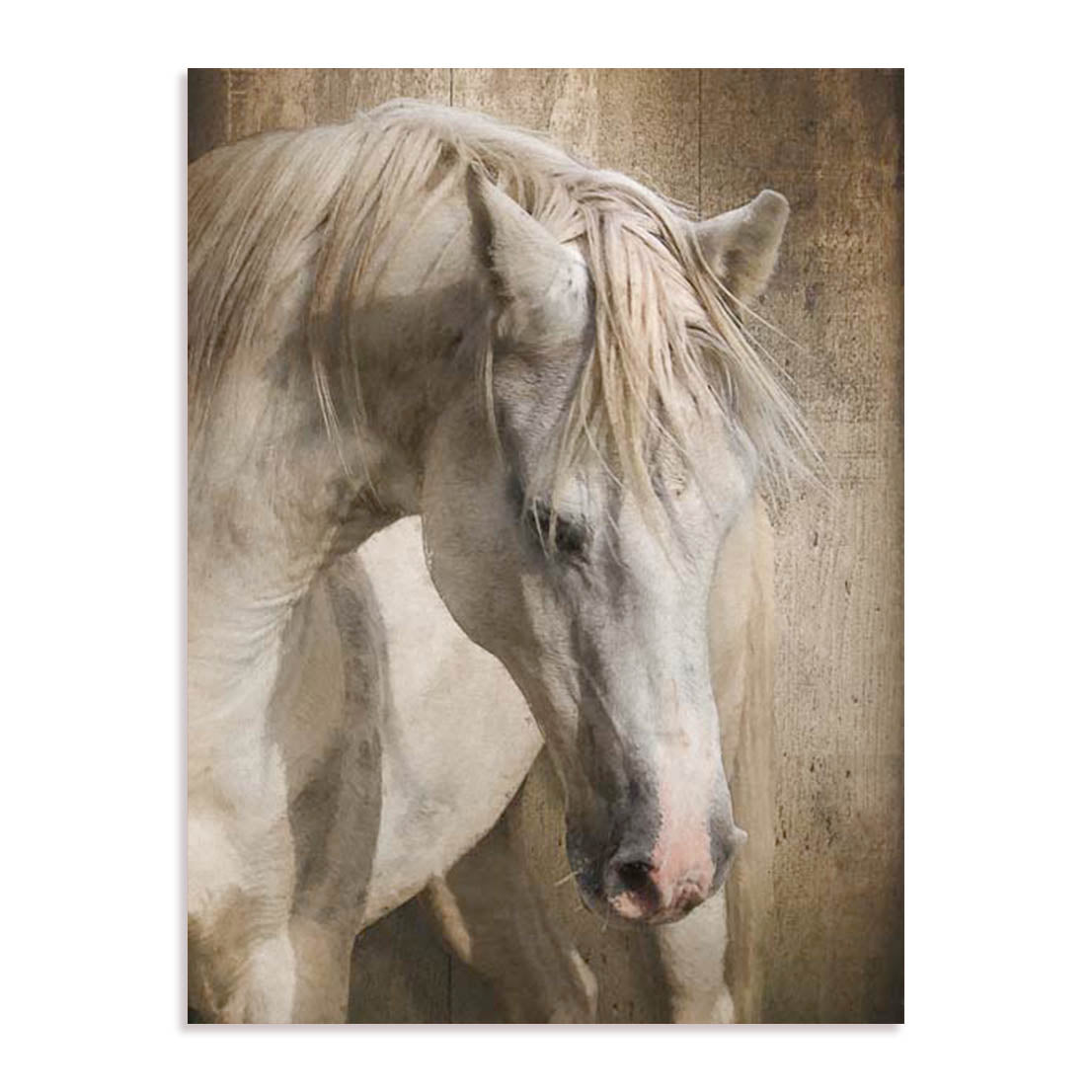 Equine Energy I Wall Art