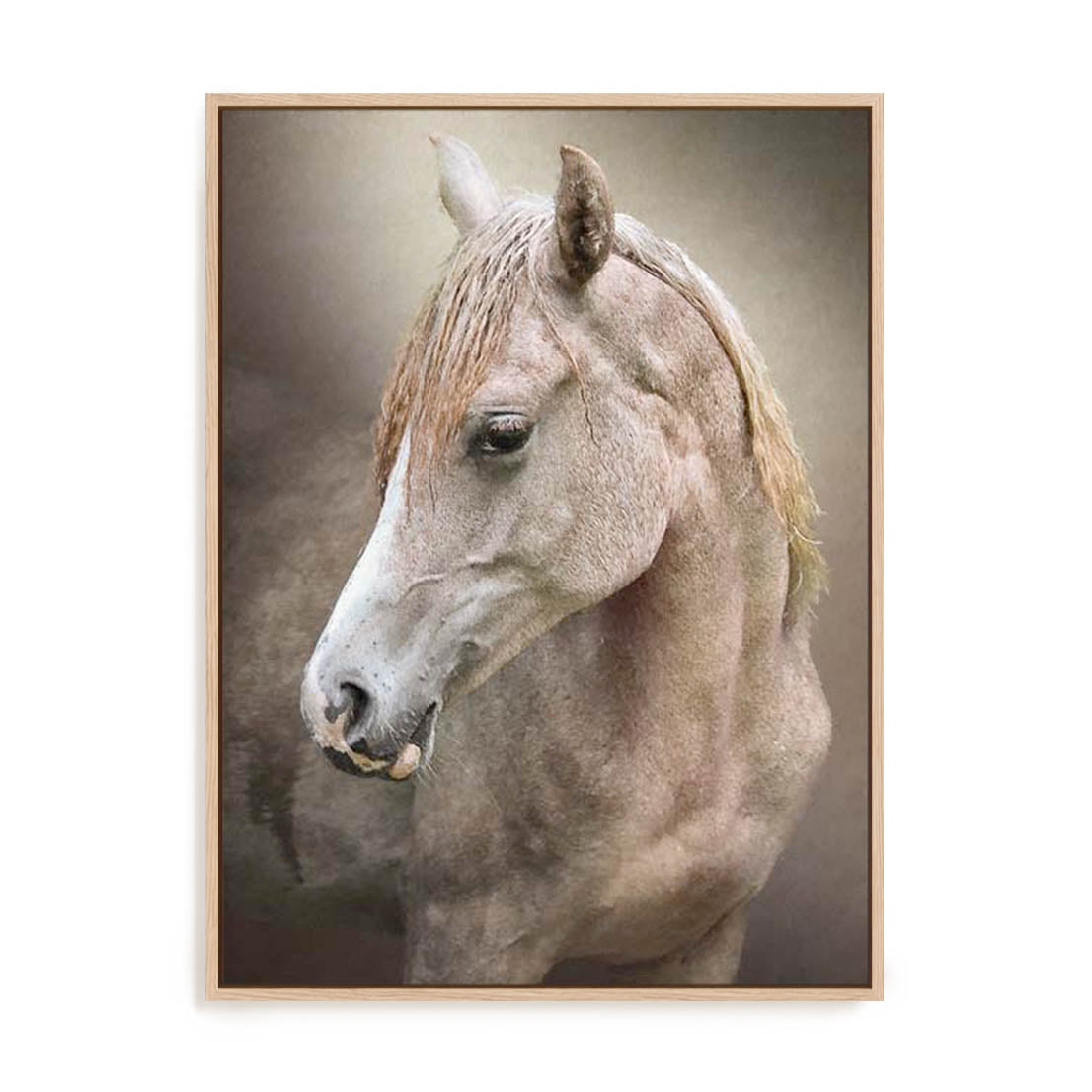 Equine Energy Ii Wall Art