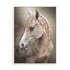 Equine Energy Ii Wall Art
