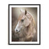 Equine Energy Ii Wall Art