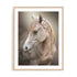 Equine Energy Ii Wall Art