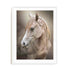 Equine Energy Ii Wall Art