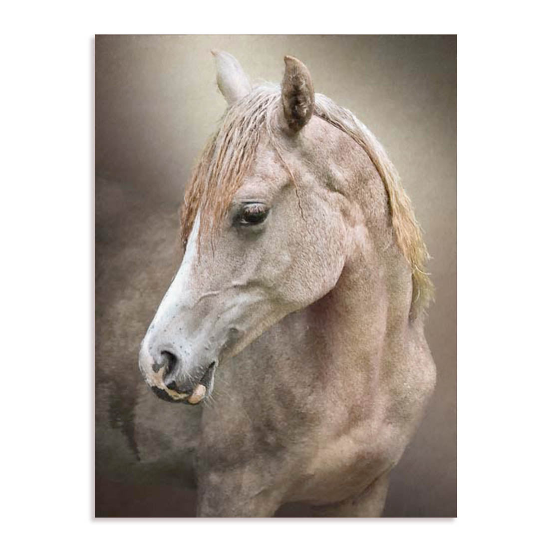 Equine Energy Ii Wall Art