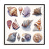 Shell Factory I Wall Art