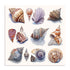 Shell Factory I Wall Art
