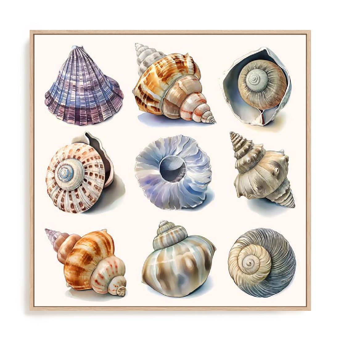 Shell Factory II Wall Art