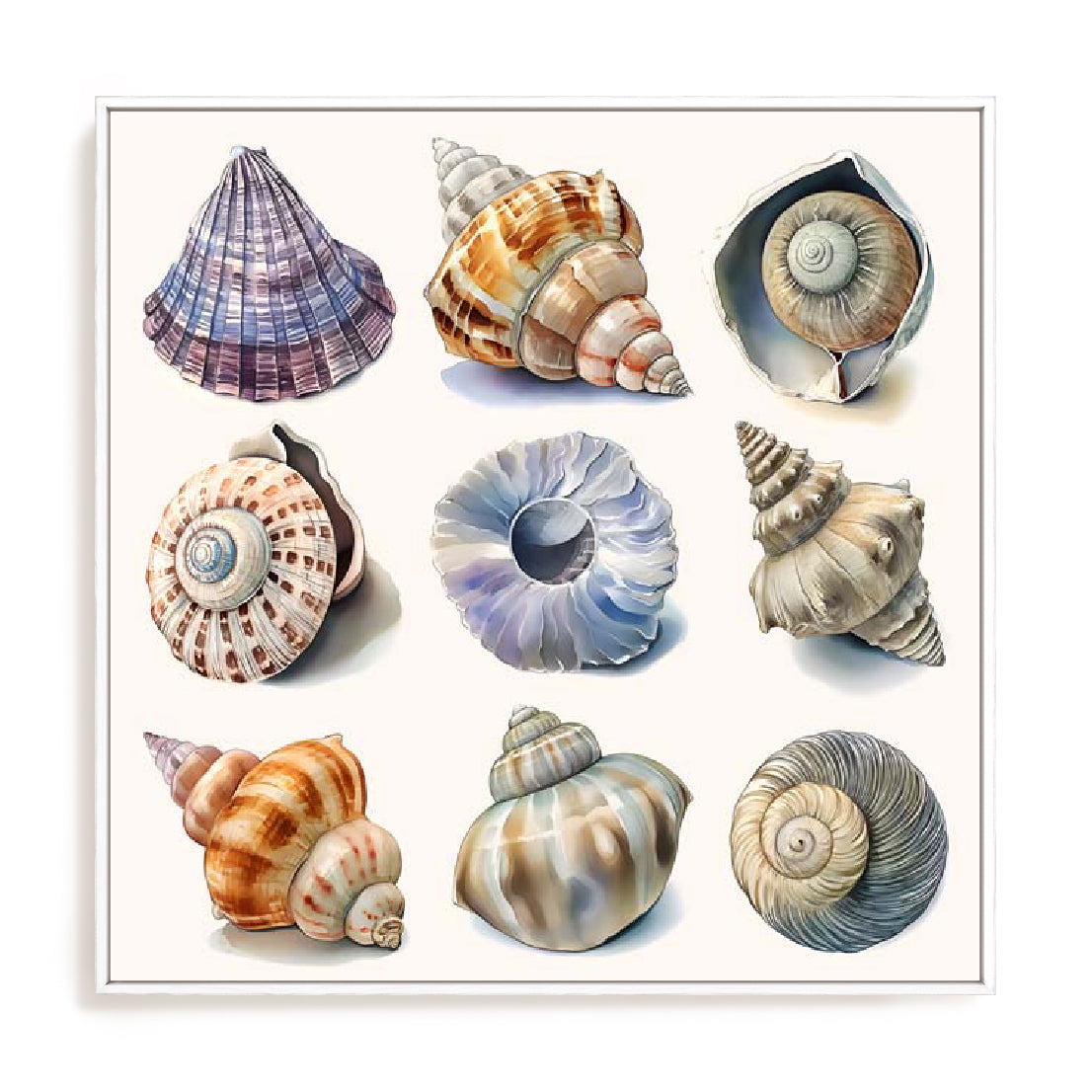 Shell Factory II Wall Art