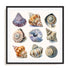 Shell Factory II Wall Art #oran_black-white-border