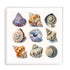 Shell Factory II Wall Art #oran_white-white-border