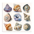 Shell Factory II Wall Art