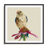 Pinch Of Gold Finch Ii Wall Art #oran_black-white-border